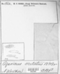 Clitopilus scyphoides image